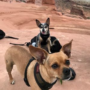 Meet your Posher, Joann